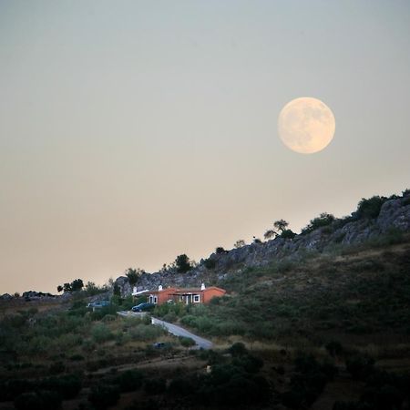 Cortijo Nuevo Alojamiento Rural Cuevas del Becerro Ngoại thất bức ảnh