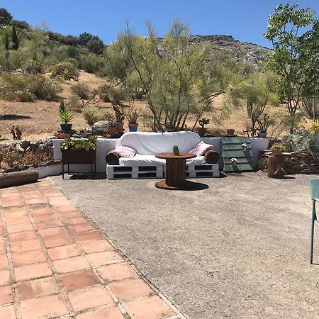 Cortijo Nuevo Alojamiento Rural Cuevas del Becerro Ngoại thất bức ảnh