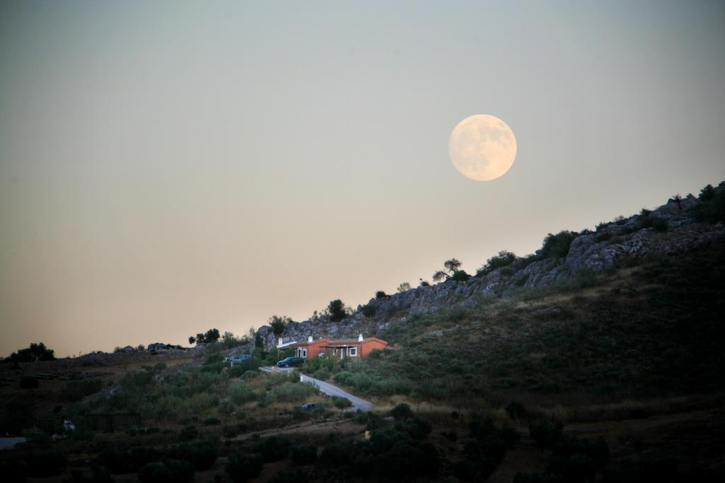 Cortijo Nuevo Alojamiento Rural Cuevas del Becerro Ngoại thất bức ảnh